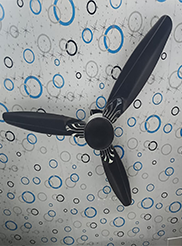 Energion Fan