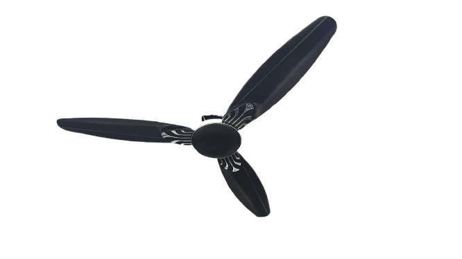 Ceiling fan
